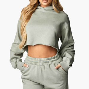 Oversized Crop Hooded Sweatshirt Solid Color French Terry Long Sleeve Casual Wear Autumn Style Unisex Fit - Product Image 1
