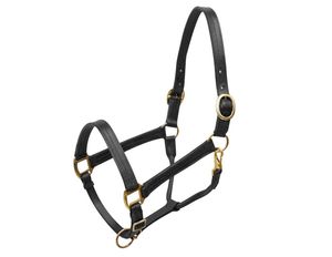 Cabestro Clásico de Cuero para Caballo, Ajustable, con Herrajes Resistentes en Tono Plateado, Hebillas Fuertes, para Entrenamiento en Establos - Product Image 4