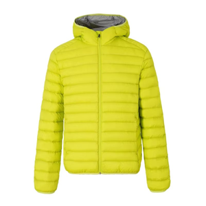 Chaqueta de Plumón para Hombre, Otoño, Cierre con Cremallera, Relleno de Algodón, Diseño Personalizado, Servicio OEM, Resistente al Viento, Transpirable, Casual - Product Image 6