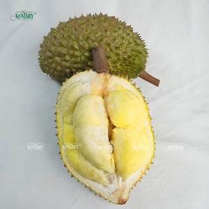 ผลไม้สดคุณภาพพรีเมียม รสหวาน ราคาส่งออก ขายส่ง ทุเรียนสดทั่วไป ผลิตในเวียดนาม รับผลิตแบบ OEM - Product Image 4