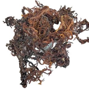 MUSGO DE MAR PÚRPURA/MUSGO DE MAR DE GRACILARIA SECA/IRISMO DE VIETNAM-ALTA CALIDAD - Product Image 1