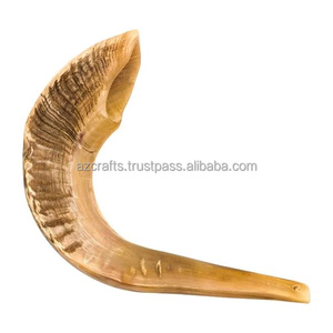 Shofar en corne de bœuf poli en gros - Artisanat de haute qualité, objet d'art et de collection, fabricant de shofars naturels (A Z CRAFTS) - Product Image 3