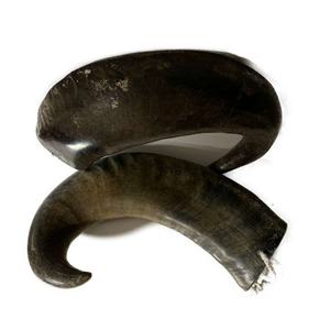 Juguete Masticable Ecológico de Cuerno de Búfalo para Perros - Limpieza Dental Premium y Duradero, Directo del Fabricante y Exportador - Product Image 2