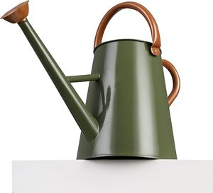 Arrosoir en métal au design tendance et élégant avec finition rustique pour l'arrangement décoratif de plantes d'intérieur - Product Image 1