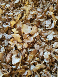 Rodajas de Jengibre Seco de Vietnam, Directo de Fábrica, OEM, ODM, Proveedor Mayorista, Fabricante, Exportación a Granel, Marca Privada, Premium - Product Image 3