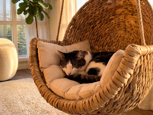 Casa para Animales Ecológica de Madera con Recubrimiento en Polvo Resistente para Perros Pequeños y Gatos, Uso en Interiores, VIETCHOICE Vietnam, Todas las Estaciones - Product Image 6