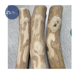 [HAUTE QUALITÉ] |   Jouet à mâcher pour chien en bois de café bio, vente en gros, bâtonnets durables pour le nettoyage dentaire des animaux, fournitures du Vietnam - Product Image 1