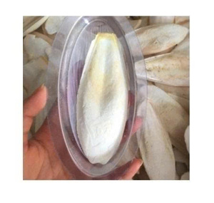 Hueso de Sepia Seleccionado, Producto Marino Natural, Ideal para la Nutrición de Loros, Alimentación de Tortugas y Suministro de Minerales para Animales Pequeños - Product Image 1