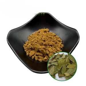 Manufacture Supply 100% Natural Senna Leaf Powder Authentic Food Grade Dried Senna Leaf Powder <b>for</b> Supporting Digestive Function - Product Image 1