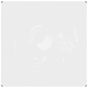 Bâche en PVC transparente avec œillets 6,6x6,6' Produit - Product Image 2