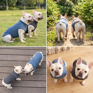 Camiseta Moderna para Perro, de Algodón Ligero, Estampada, Suave, Transpirable, Veraniega, Linda, para Uso Diario, de Alta Calidad, Personalizable - Product Image 5