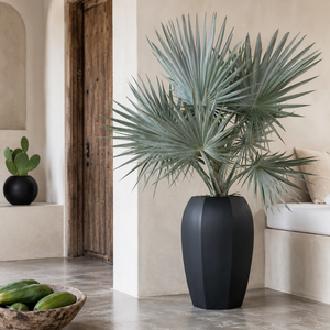 Maceta Alta y Profunda de Fibra de Vidrio de Ocho Lados, Color Negro Intenso, para Plantas <span class=keywords><strong>con</strong></span> Raíces Profundas, como Olivos, <span class=keywords><strong>Palmeras</strong></span> y Bambúes, en Tres Tamaños - Product Image 4