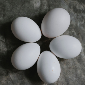 ไข่ไก่สดคุณภาพดี ราคาโรงงาน ขายดีอันดับต้นๆ สินค้ามาใหม่ - Product Image 5