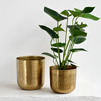 Ensemble de jardinières en métal doré martelé de luxe, plaqué chrome, moderne, pour plantes d'intérieur et d'extérieur, décoration pour la maison, le bureau, le salon, le jardin