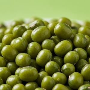 Premium Mung <b>Beans</b> Sprout <b>Production</b> Line High Germination Green Mung <b>Beans</b> Green <b>Beans</b> From India Export Quality Vigna - Product Image 4