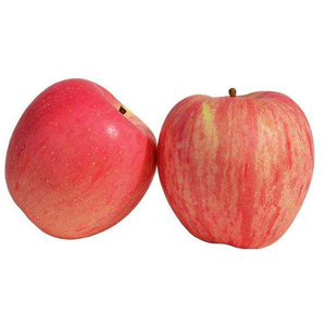 แอปเปิ้ลสดสีแดงหวานจากแหล่งผลิตขายส่ง - Product Image 2
