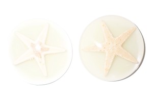 Cabochon rond en plastique avec spécimen réel d'étoile de mer, 35x35 mm, fond plat, luminescent, pour artisanat et fabrication de bijoux - Product Image 2
