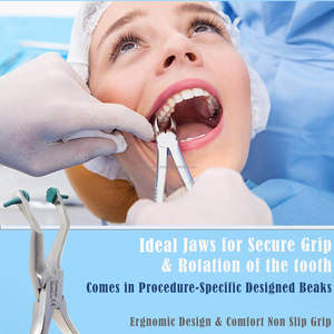 Juego de 12 Pinzas Manuales para Extracción Dental, Patrón Americano, Acero Inoxidable de Grado Alemán, Instrumentos Quirúrgicos, Proveedor Mayorista - Product Image 4