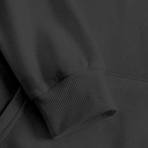 Vente en gros de sweats à capuche amples de haute qualité en mélange de coton et de polyester 260g, avec poche, impression DTF, image au dos, livraison gratuite - Product Image 3