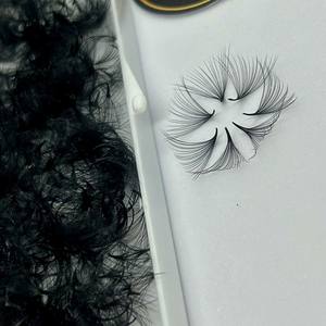 Extensions de cils synthétiques faites à la main en éventail préformé 10D-20D, volume intense, naturelles, longues, étroites, noir mat, base pointue, OEM - Product Image 1