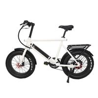 Vélo électrique MONO avec batterie amovible, pneus élargis et renforcés, design léger, longue autonomie, E-Bik OEM/ODM disponible