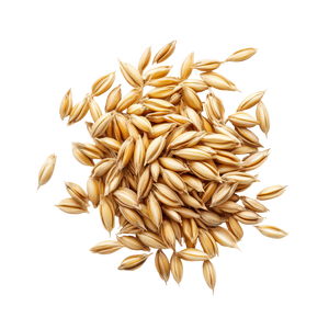 ข้าวสาลีคุณภาพสูง ราคาถูก ขายส่ง ข้าวสาลีสะอาด จัดส่งรวดเร็ว - Product Image 1