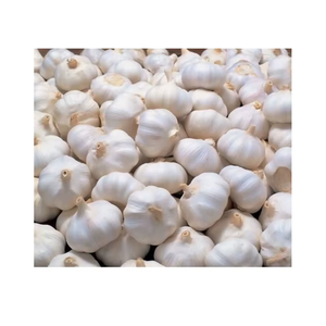 Ail frais de qualité supérieure, bulbes d'ail blancs, arôme naturel pour la cuisine, transformation des épices, approvisionnement en vrac disponible - Product Image 1