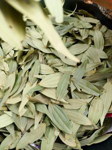 Feuilles de Laurier Brutes Séchées AD de Qualité Supérieure pour la Préparation Quotidienne des Repas en Cuisine – Vente Directe Usine à Prix Bas - Product Image 4