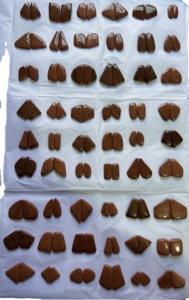 Amazing <b>Red</b> Sand Sun Sitara Pair Gemstone <b>Earring</b> Pair Multi Shape And Size Loose Jewelry Making Gemstone Sun Sitara Pair Stone - Product Image 3