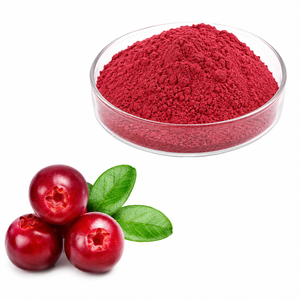 Poudre de canneberge de qualité alimentaire, riche en anthocyanes, extrait de fruit séché par pulvérisation pour la nutrition quotidienne, poudre de canneberge lyophilisée - Product Image 1