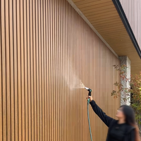 Panneaux muraux décoratifs imperméables et résistants au soleil en bois-plastique pour villas de vacances