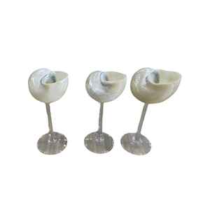 Juego de vasos artesanales de concha de Náutilo blanca de Vietnam, hechos a mano con conchas marinas auténticas para decoración del hogar, regalos de boda y venta al por menor. - Product Image 1