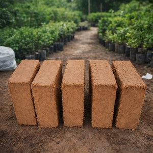 Cocopeat Briquette <b>Peat</b> Moss Block Coconut Coir Substrate for Greenhouse Hydroponic Horticulture Agriculture - Product Image 4