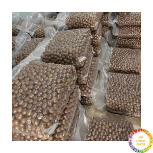 Premium Shelled Macadamia Nut From Vietnam Raw Form Adding Rich Taste to Commercial Biscuit and Sweet <b>Cookie</b> Making - Product Image 6