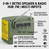 Haut-parleur sans fil rétro TV LN-5016MINI 25W avec basses puissantes, radio FM à double antenne, portable, vente en gros très demandée en Afrique