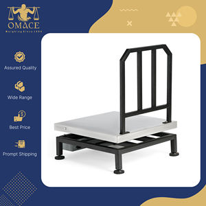 Báscula Digital de Mesa de Acero Inoxidable de Primera Calidad ACE, Capacidad de Carga de 120 kg, Precisión de 10/20 g, 1 Año de Garantía - Product Image 2