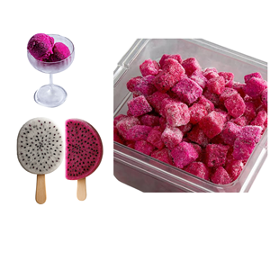 Délicieux fruit du dragon séché de qualité internationale, fabriqué au Vietnam, prix compétitif, emballé en sachet de 500g - Product Image 1