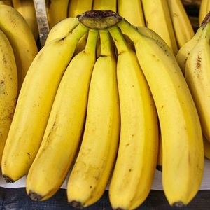Plátano Fresco Natural Rico en Potasio, Fruta de Cosecha Premium, Ideal para Jugos, Postres y Nutrición Diaria - Product Image 1