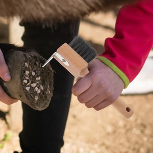 Brosse à sabots pour chevaux avec manche en bois – Outil fiable pour le nettoyage des sabots, prise en main confortable, outil de toilettage pour la ferme, pics de toilettage - Product Image 4