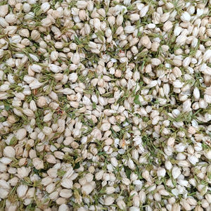 Botones de Jazmín Secos de Alta Calidad de Fábrica Vietnamita, Flor de Té Natural, Exportación a Granel - Product Image 1