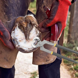 Juego de herramientas para herrador de caballos: Alicates para pezuñas, lima, escofina, cortador de pezuñas. Productos y accesorios para el cuidado de caballos, cabras y vacas. - Product Image 6