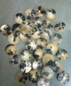 Best Quality Natural Crafts Agate Buffalo Horn <b>Button</b> Blanks Carved Animal Style with Waterproof Feature - Product Image 3