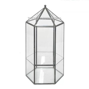 Metal <b>Terrarium</b> Fancy Color Modern <b>Terrarium</b> <b>for</b> <b>Sale</b> New Design Decoration Best Quality <b>Terrarium</b> <b>for</b> <b>Sale</b> - Product Image 4