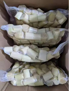 OFERTA CALIENTE 2024 PRODUCTO DELICIOSO CAÑA DE AZÚCAR CONGELADA LISTO PARA EXPORTAR - Product Image 2