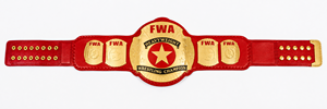 Cinturón de Campeonato de Cuero de Lujo con Placas Metálicas Premium para Lucha Libre, Boxeo, Premios Deportivos y Eventos - Product Image 3