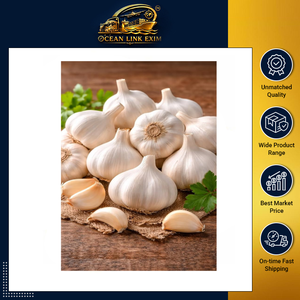 Export Quality <b>Fresh</b> Garlic Bulbs Naturally Grown White Garlic for Food Processing Retail and Commercial Kitchen Use - Product Image 2