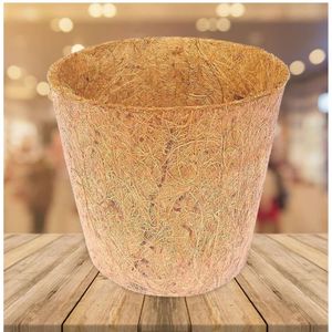 YAMUNA Eco-Friendly 100% Natural Coconut Coir Plant Pots (Biodegradable) 6 Inch Sizes 2 Year Shelf Life Gardening - Product Image 2