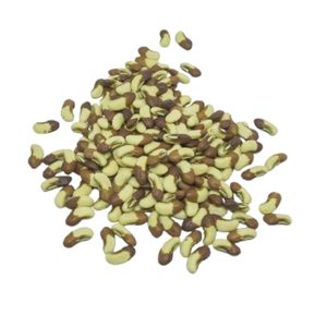 Semillas de Frijol Largo BCA-EH de Primera Calidad, Alta Germinación, Calidad Premium, 100% Puro, Indonesio Jember, Superventas, 6 Meses de Duración - Product Image 6