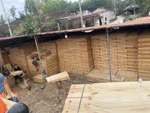 Placage en bois de caoutchouc du Vietnam 100 % naturel, coupé rotativement, écologique, pour la fabrication de contreplaqué - Product Image 4