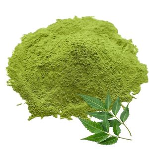 Wholesale 100% Pure Dried Neem Powder Plant Based Herbal Cosmetic Grade Neem Powder for Grey Hair Coverage Support - Product Image 4